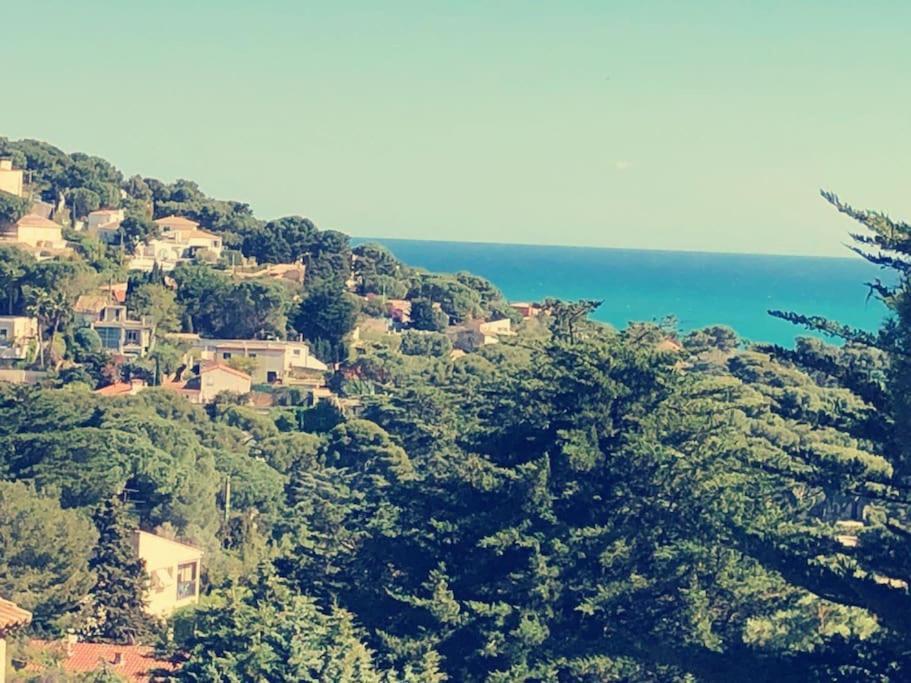 Maison St Clair Vue Mer Sète Eksteriør billede