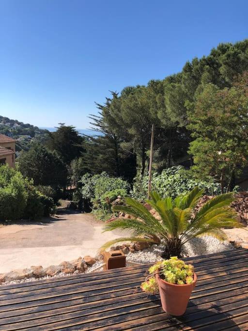 Maison St Clair Vue Mer Sète Eksteriør billede